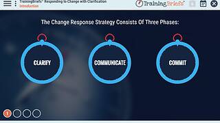 TrainingBriefs® Responding to <mark>Change</mark> with Clarification