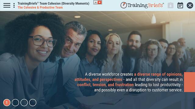 TrainingBriefs® Team Cohesion (Diversity Moments)
