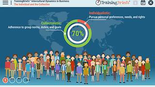 TrainingBriefs® Intercultural Dynamics in Business