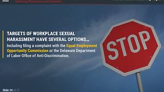 The Consequences of Sexual <mark>Harassment</mark>™ (DE Employee)